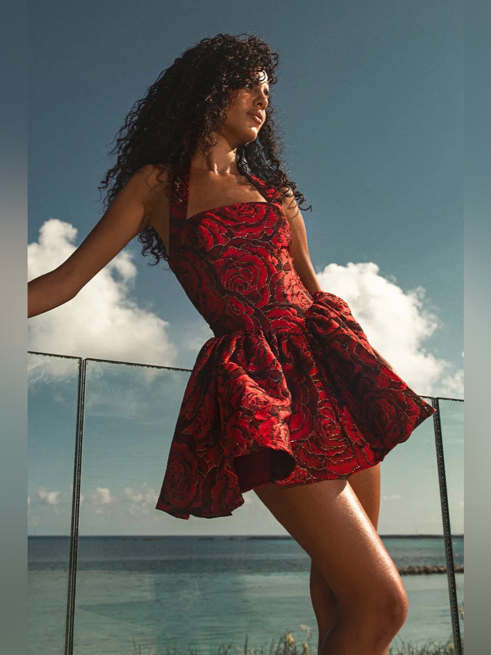 Runaway The Label Viper Mini Dress - Rose Print